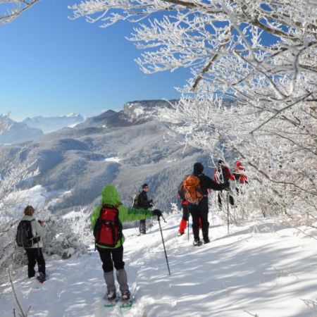 SEJOUR RANDO NATURE EN CHARTREUSE
