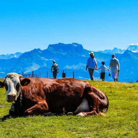 Randonnée autour d'Annecy (Journée)