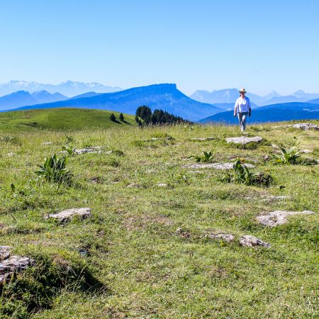 Randonnée autour d'Annecy (Demi-journée)