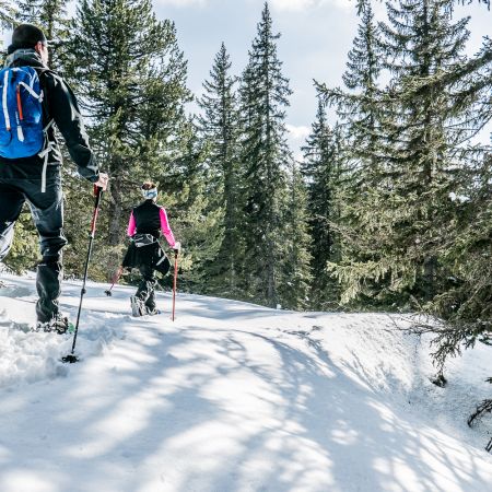 Raquettes autour d'Annecy (Demi-journée)