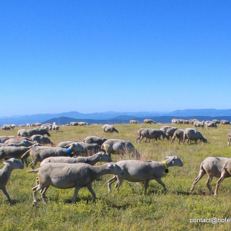 MONT LOZERE CEVENNES DES PAYSAGES ET DES HOMMES
