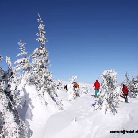 SEJOUR RANDONNEE/RAQUETTES CEVENNES MONT LOZERE