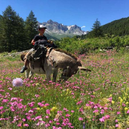 escapade en famille