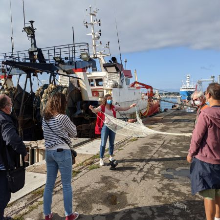 Circuit portuaire "La marée du jour". Visite du port de pêche de Lorient