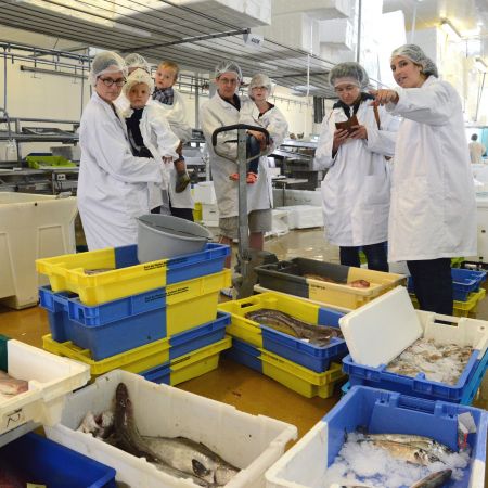 Circuit portuaire "La marée du jour". Visite du port de pêche de Lorient -2 pers