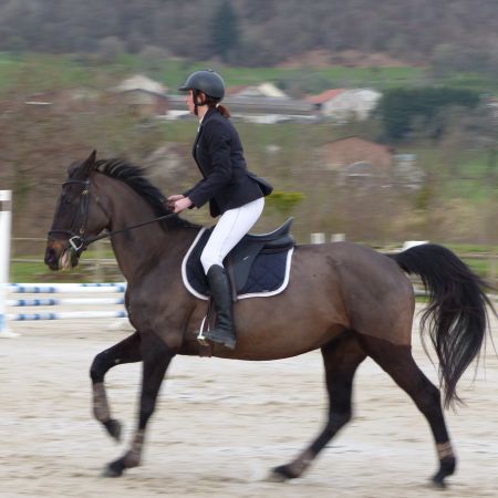 Cours particuliers - 1 h d'équitation (non adhérents)