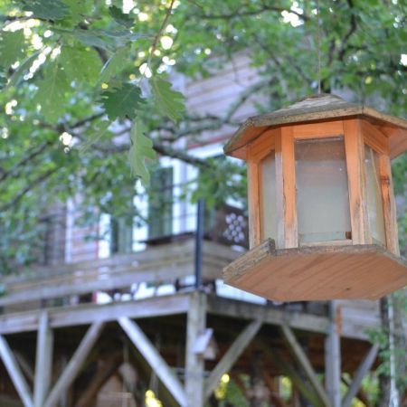 Séjour dans une cabane perchée dans les arbres