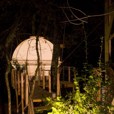 Séjour dans une bulle suspendue dans les arbres
