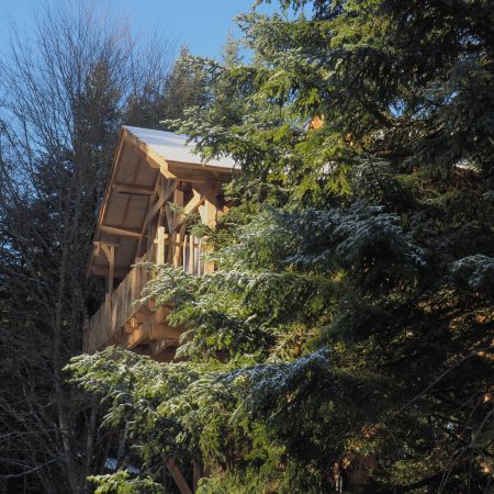Nuitée en Lodge Suite Spa, perché à 6 m de hauteur