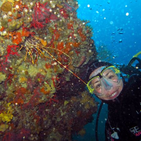 Basic Diver Flash (1 plongée technique + 1 plongée d'exploration)