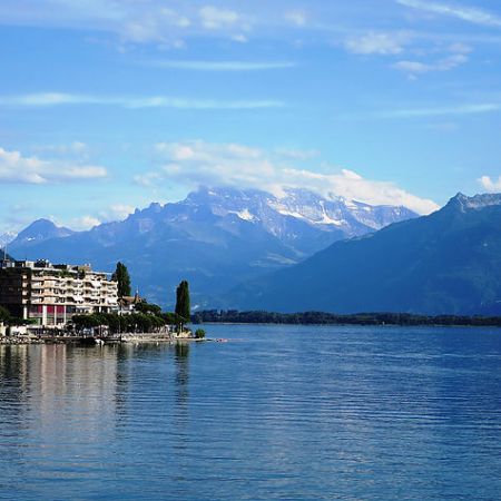 Baptême de l'air en Avion - Circuit Léman / Mont-Blanc & Glaciers (1h15)