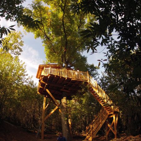 Bon cadeau 2 nuits en cabane escalier pour deux personnes