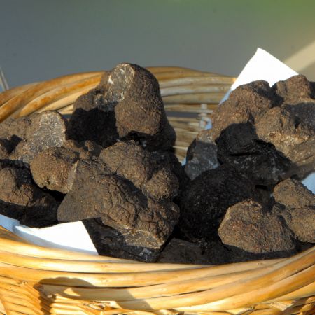 A LA POURSUITE DU DIAMANT NOIR EN BUGEY (Ain)