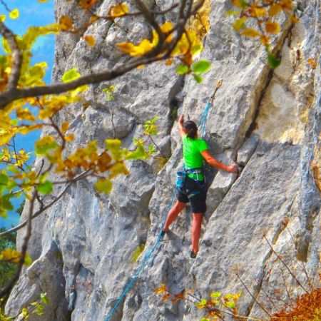 Cours Initiation Escalade en Falaise