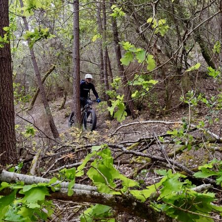 Randonnée sportive en Fatbike électrique