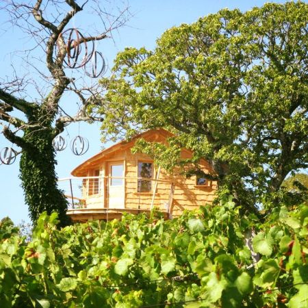 Séjour insolite en Cabane Perchée chez un paysan vigneron dans le vignoble de Château Chalon