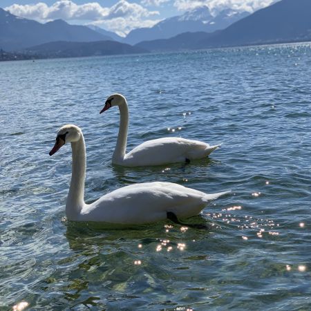 Week-end romantique