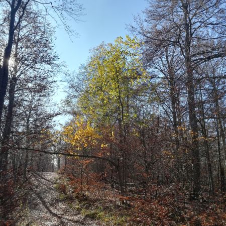 Séjour pour se reconnecter à soi et à la nature