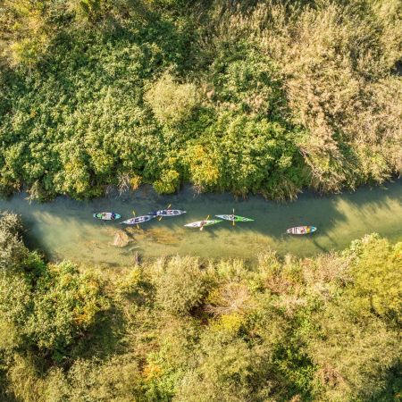 Immersion au coeur du Rhône sauvage en kayak ou en stand-up-paddle