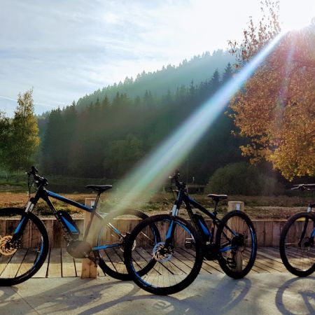 1 LOCATION VTT ELECTRIQUE suspension avant