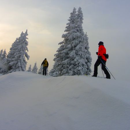 Balade en Ski de randonnée nordique