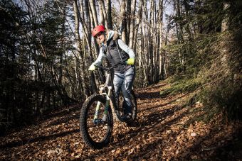 Balade 1h30 en trottinette tout terrain pour 1 personne image 6