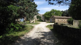 Séjour Gourmand en Drôme provençale image 1