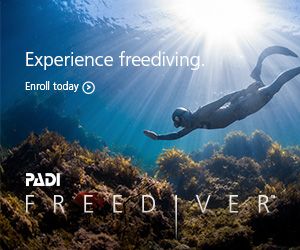 Formation Freediver (Apnée) image 1