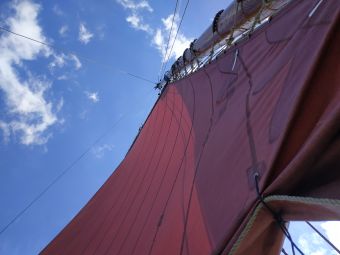 Croisières sur les Iles du Morbihan image 9