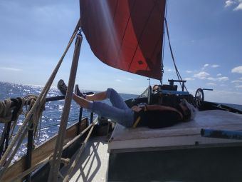 Croisières sur les Iles du Morbihan image 10