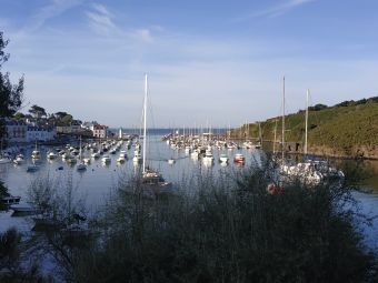 Croisières sur les Iles du Morbihan image 14