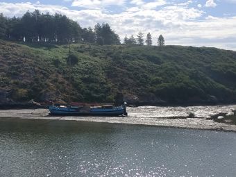 Croisières sur les Iles du Morbihan image 15