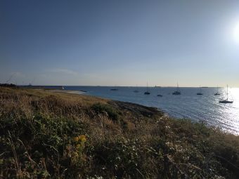 Croisières sur les Iles du Morbihan image 11