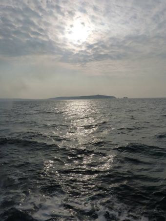 Croisières sur les Iles du Morbihan image 2
