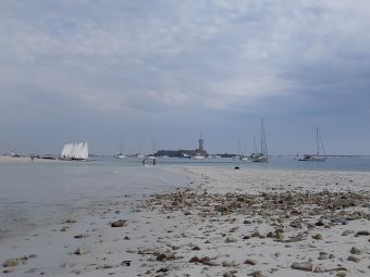 Croisières sur les Iles du Morbihan image 28