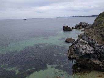 Croisières sur les Iles du Morbihan image 19