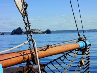 Croisières sur les Iles du Morbihan image 6
