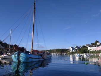Croisières sur les Iles du Morbihan image 25