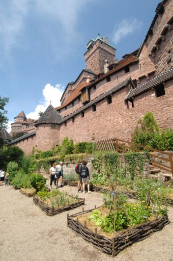 Dîner Haut-Koenigsbourg image 7