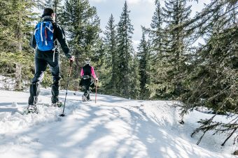 Initiation raquettes autour d'Annecy image 2