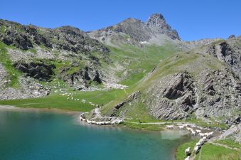 Séjour randos accompagnées entre cols et cimes du Queyras image 2