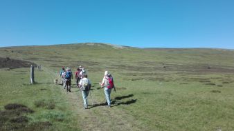 BON SEJOUR et ACTIVITES AU CHEMINS FRANCIS image 1