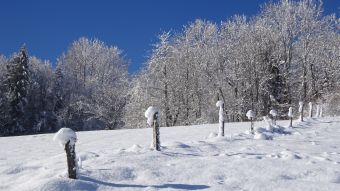 Séjour "Week end Neige en Vercors" hiver 2023 image 7