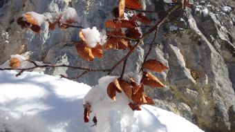 Séjour "Week end Neige en Vercors" hiver 2023 image 6
