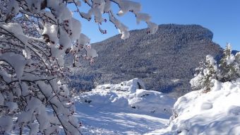 Séjour "Week end Neige en Vercors" hiver 2023 image 5