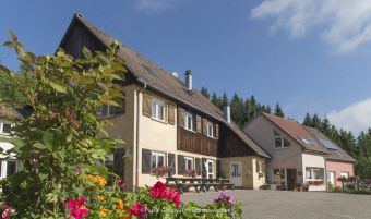 De la sérénité dans les Vosges. image 1