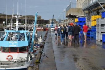 Circuit portuaire "La marée du jour". Visite du port de pêche de Lorient image 3