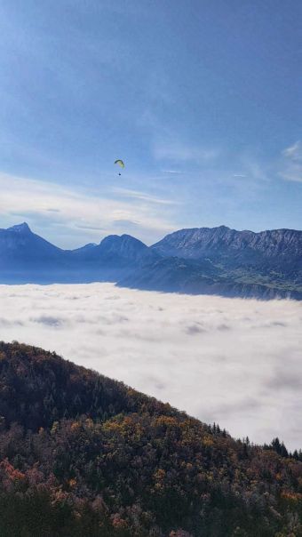 MARCHE + VOL image 1