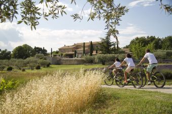 Chèque Cadeau pour une prestation à vélo personnalisée image 3