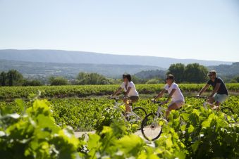Chèque Cadeau pour une prestation à vélo personnalisée image 1